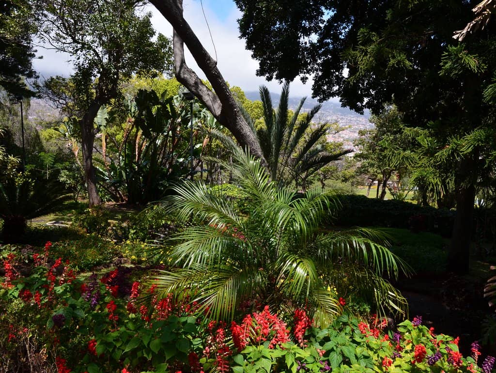 Panoramic Ocean Views