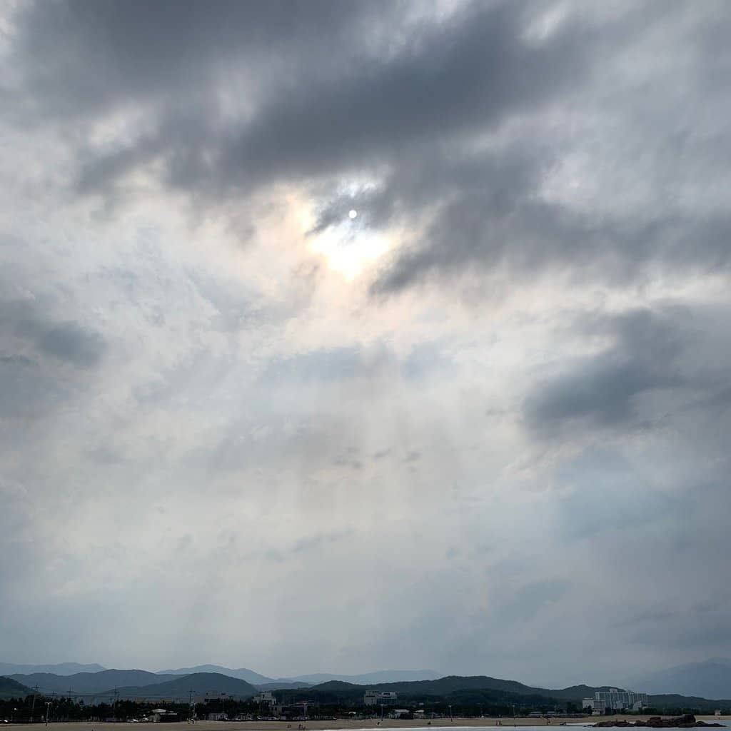 Surfing Opportunities