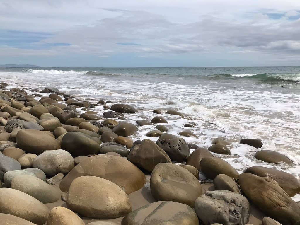 Surfing & Ocean Activities