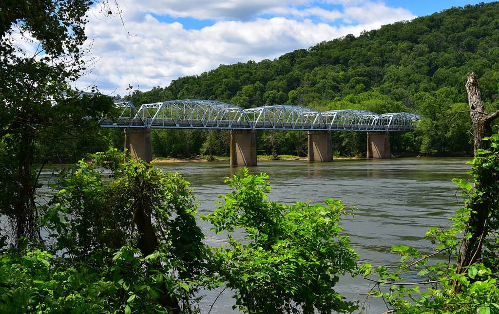 The Boardwalk Bridge