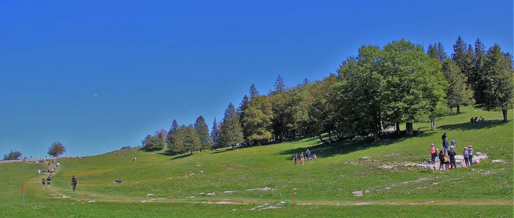 The Grand Amphitheater