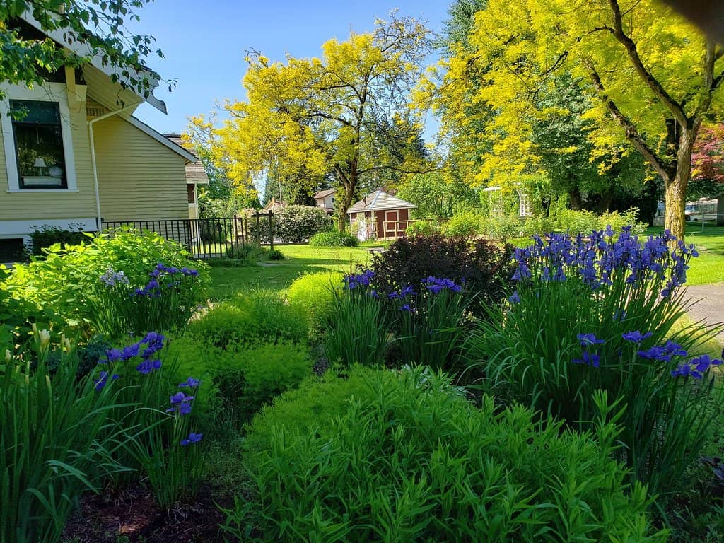 Mill Lake Walking Path