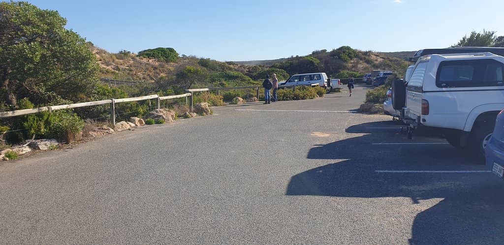 Sunrise and Sunset Spectacles