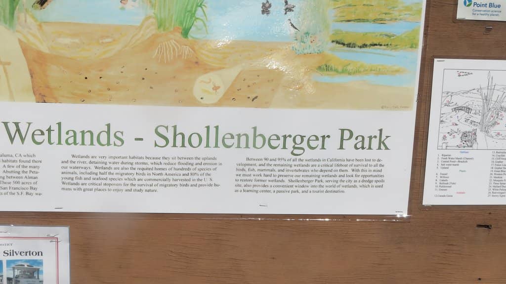 Birdwatching Paradise