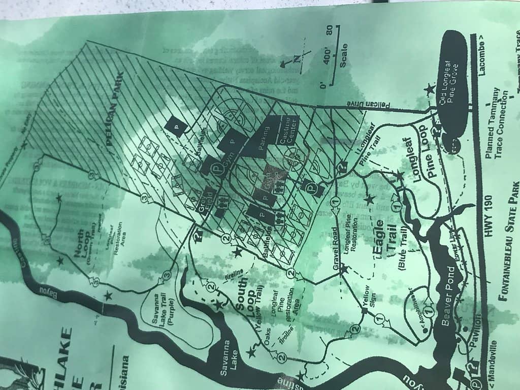 Wooded Walking Trails