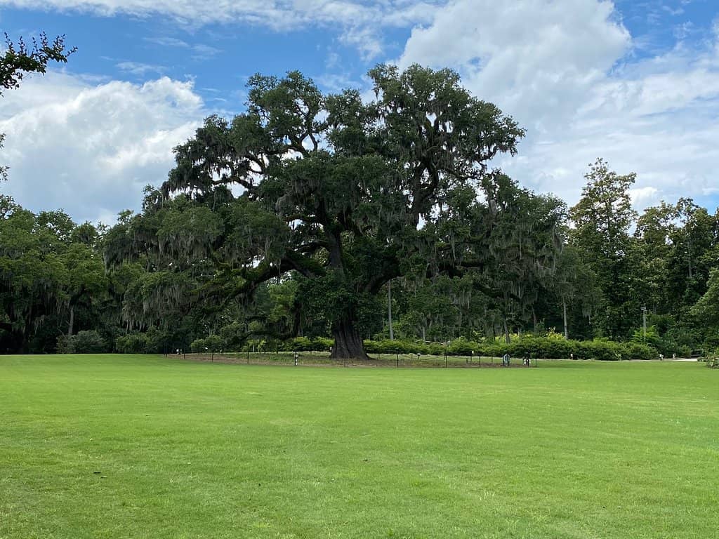 Seasonal Flower Displays
