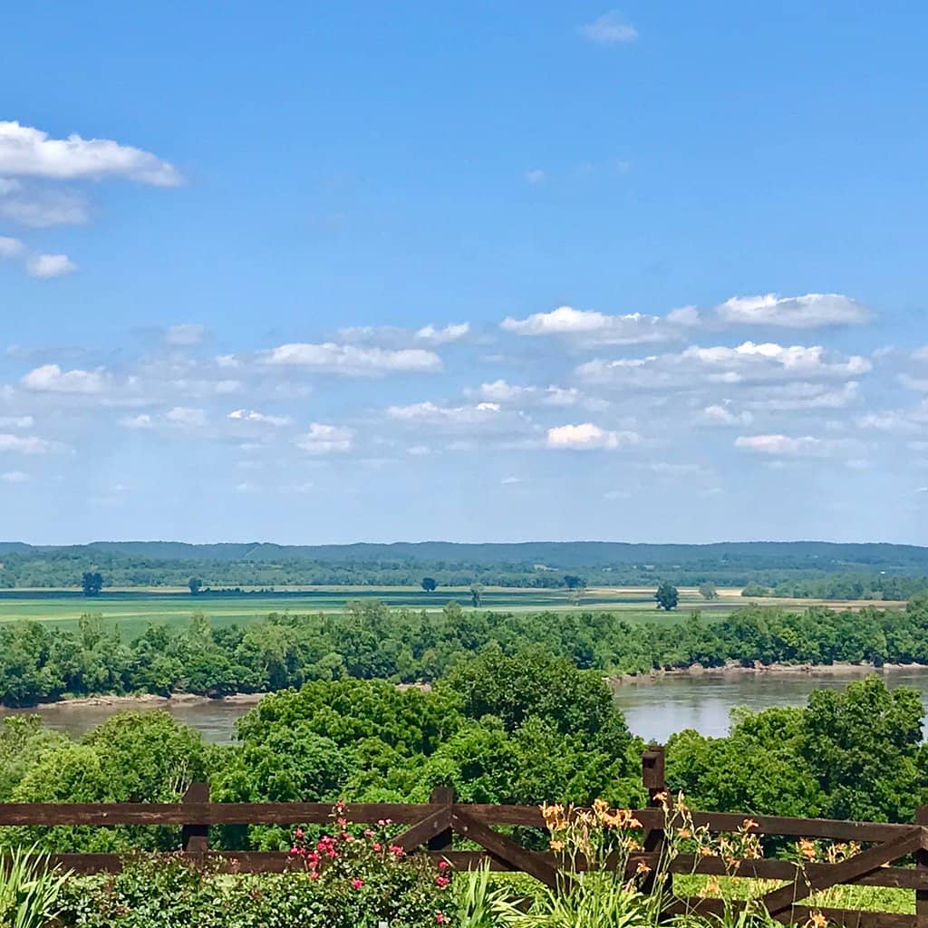 Live Music Performances