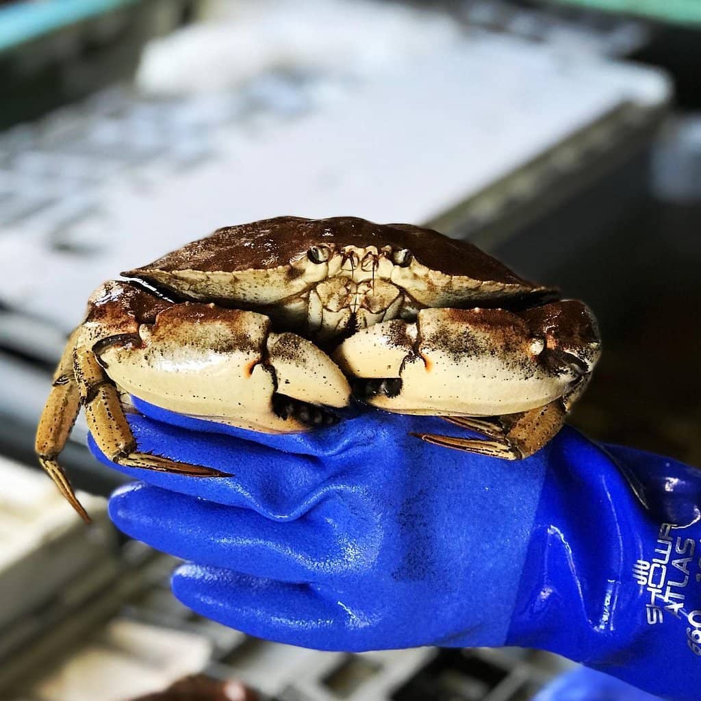 Casual Outdoor Dining