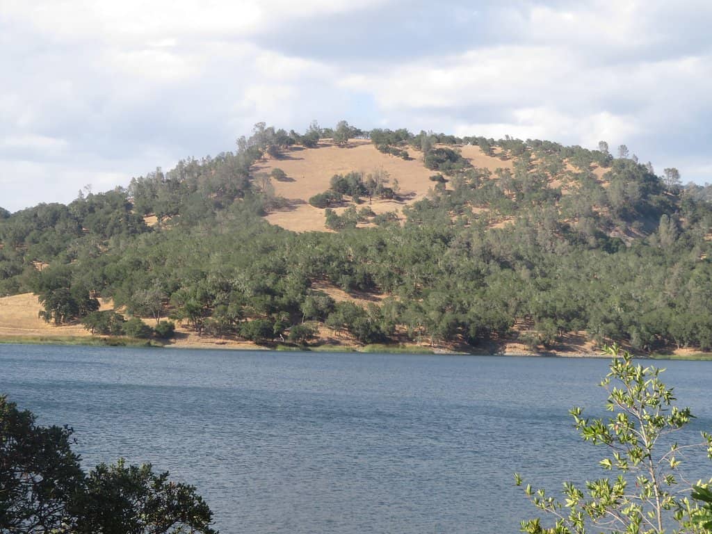 Tranquil Shoreline Trails