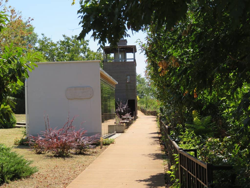 Roman Artifacts Museum