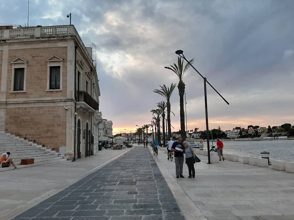 Dolphins in the Inner Harbor