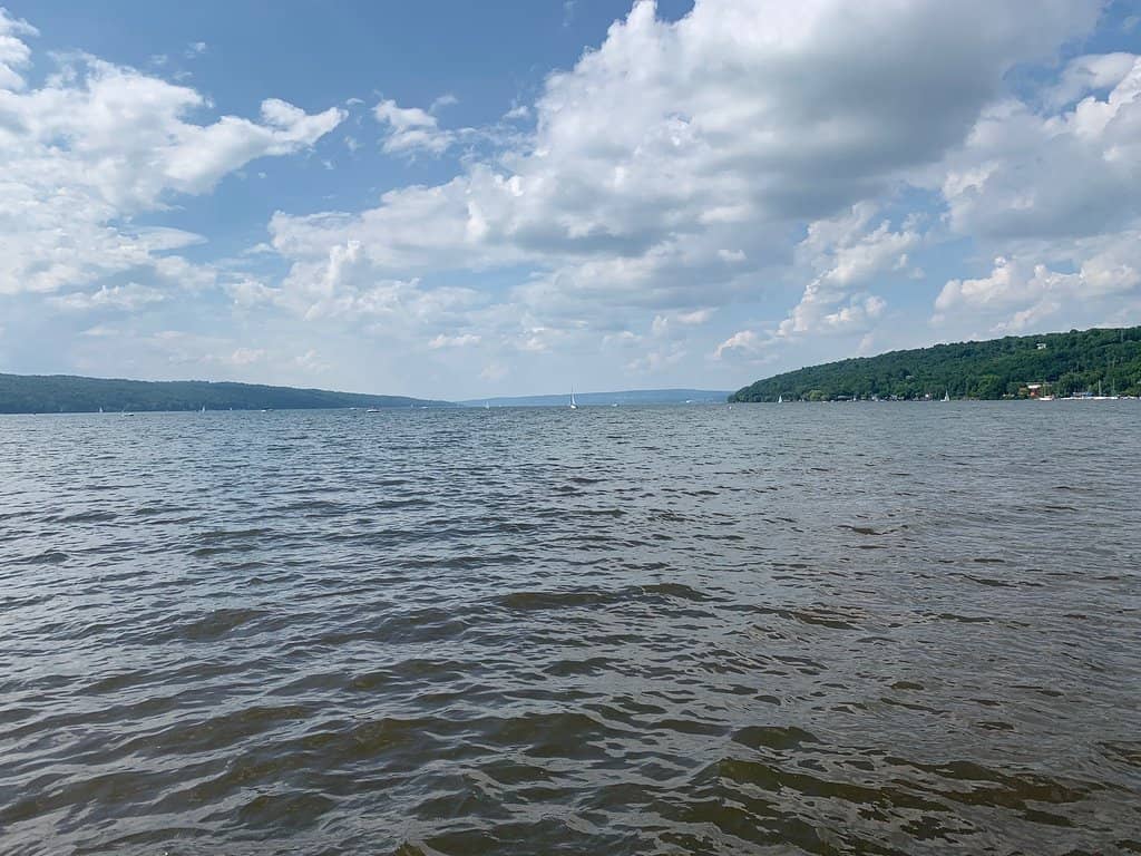 Nature Preserve & Bird Watching