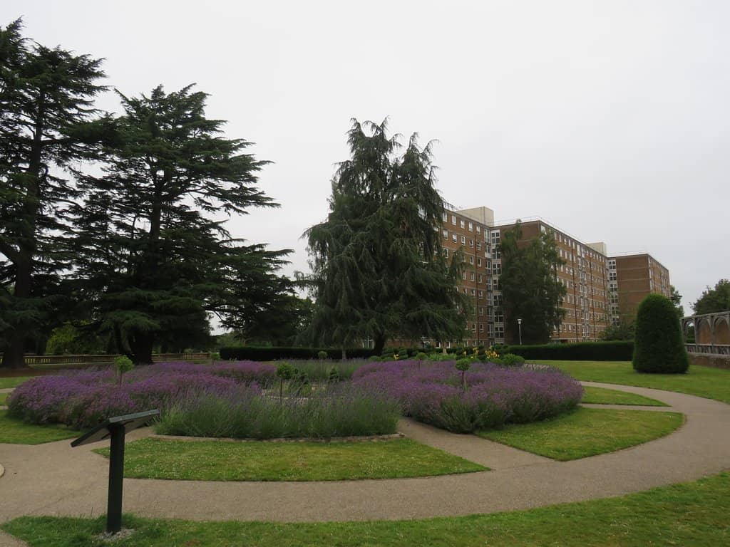 Unique Animal Sculptures