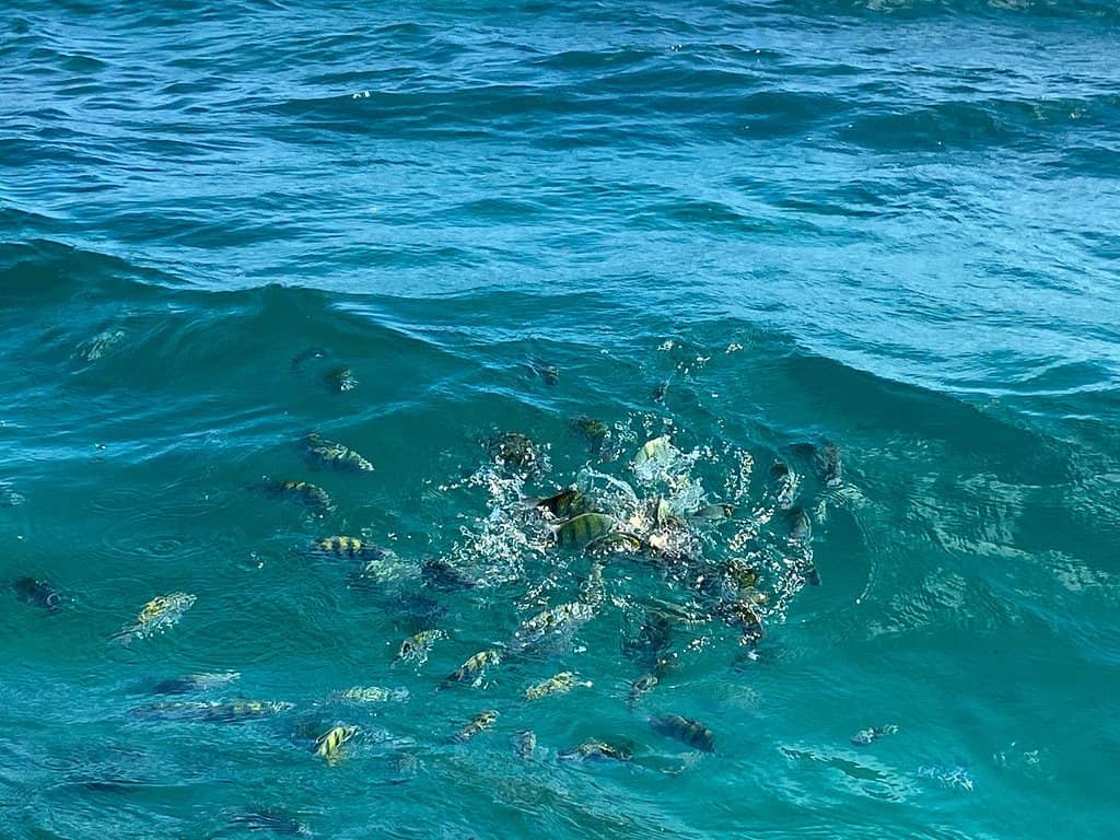 Crystal-Clear Turquoise Waters