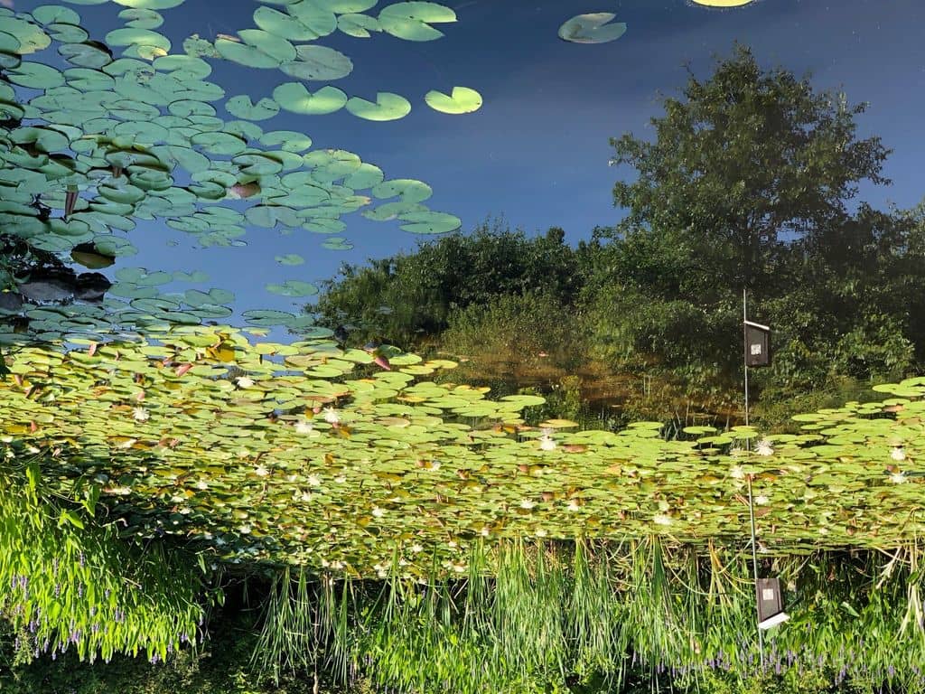 Fantastic Walking Trails