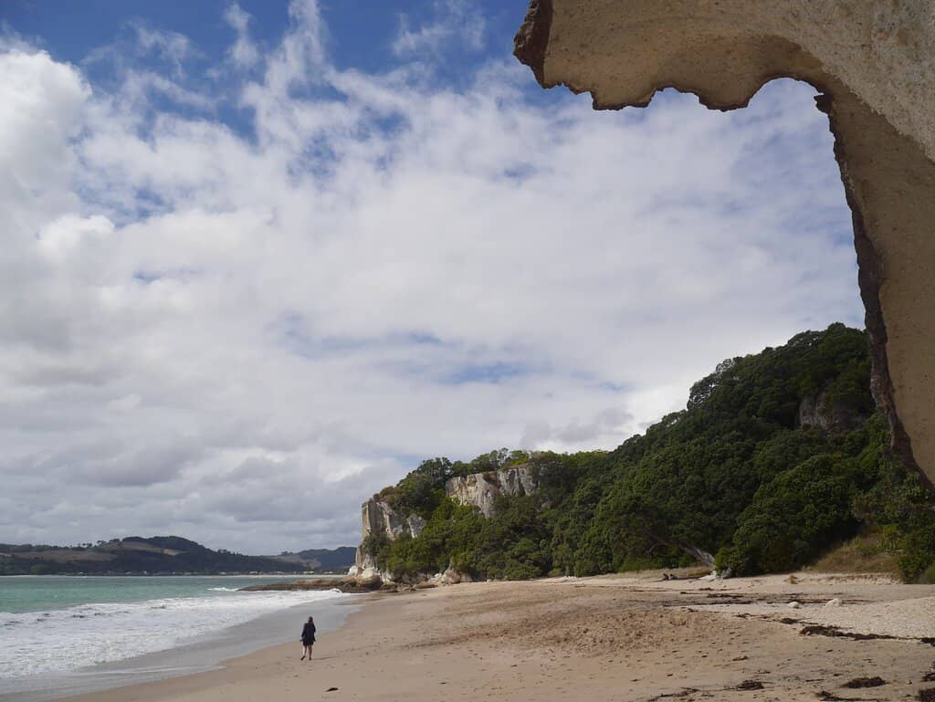 Shell Collecting at Low Tide