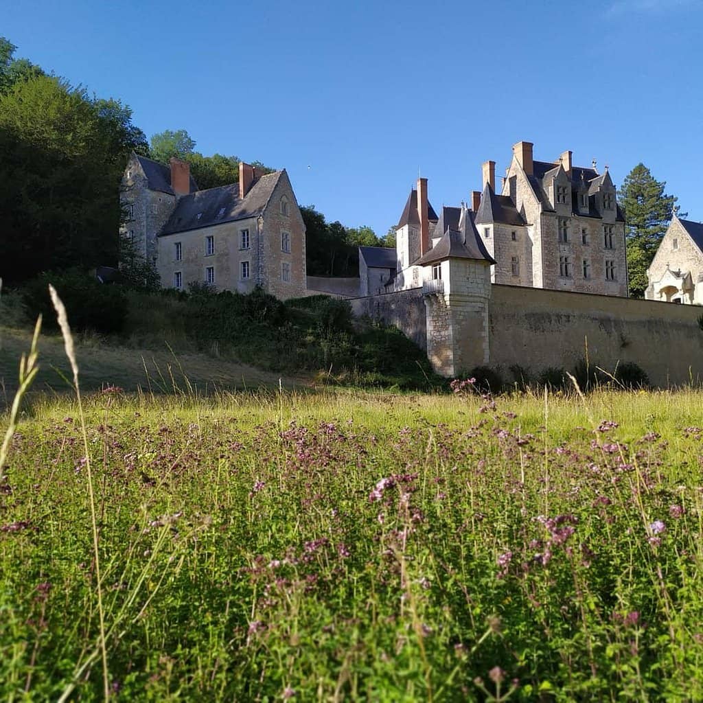 Parkland and Woodland Walks