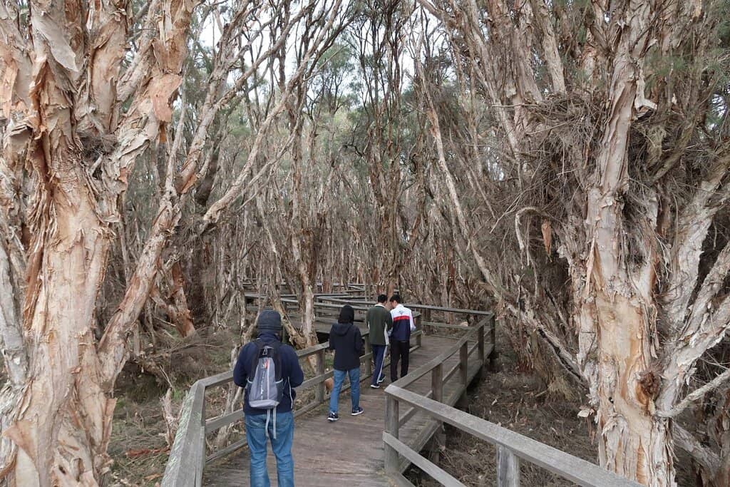 Family-Friendly Loop Walk