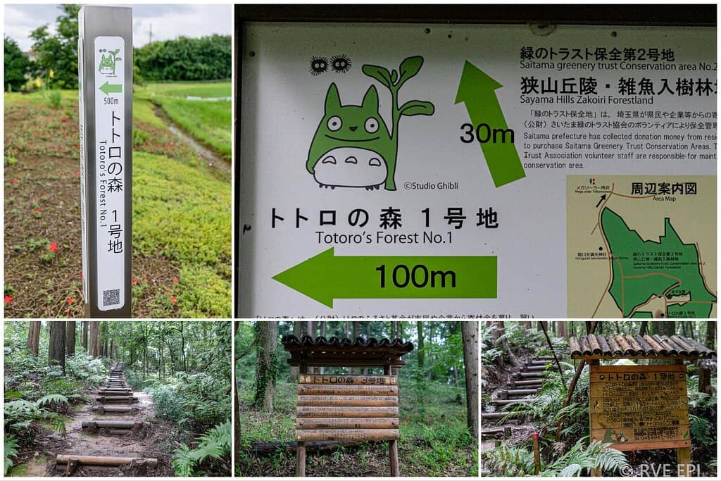 Community Conservation