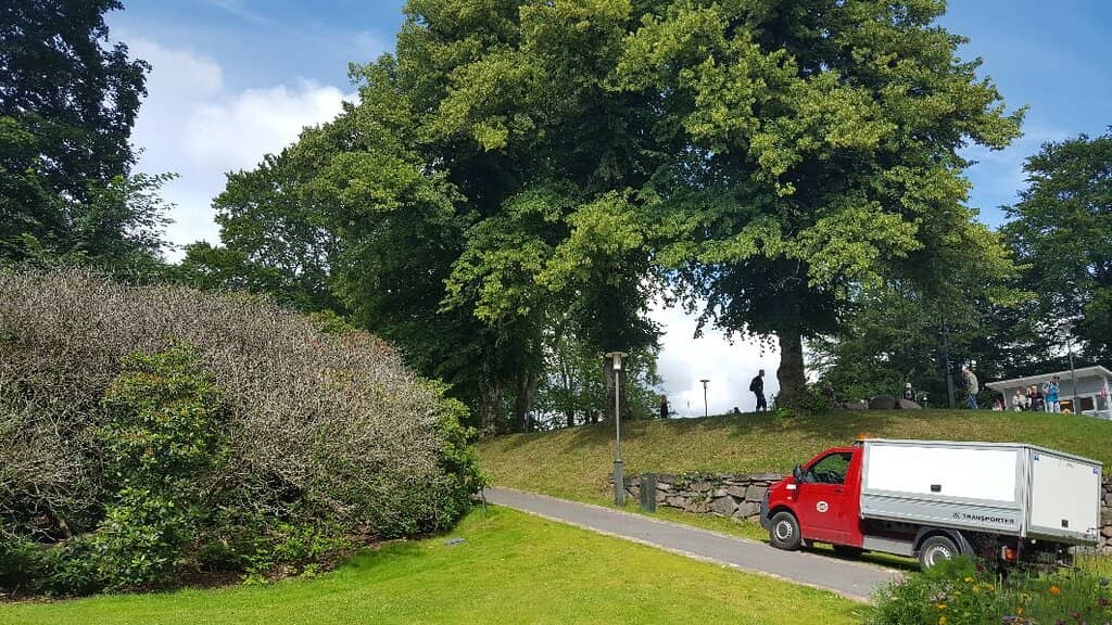 Kid's Paradise Playground