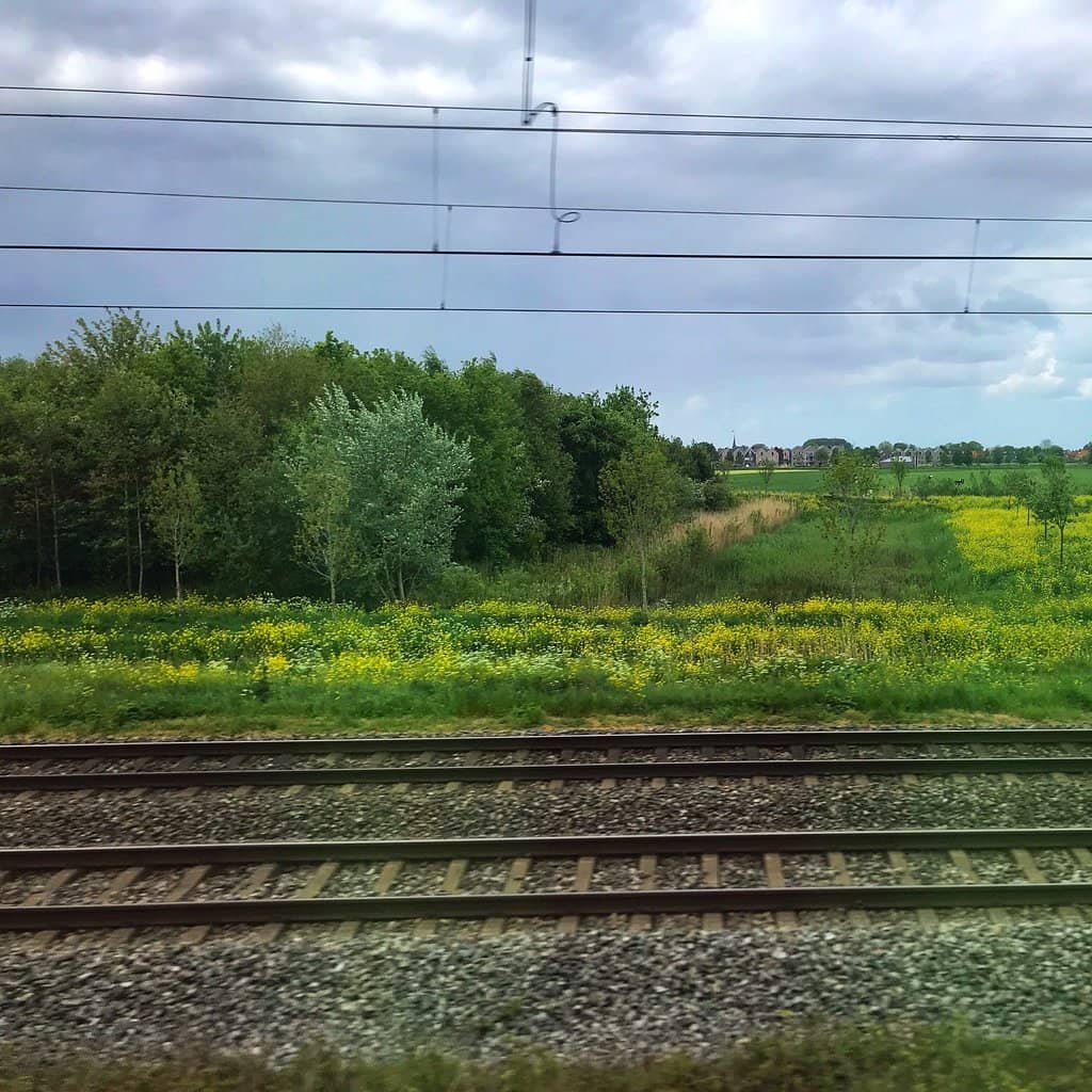 Bicycle Parking Views