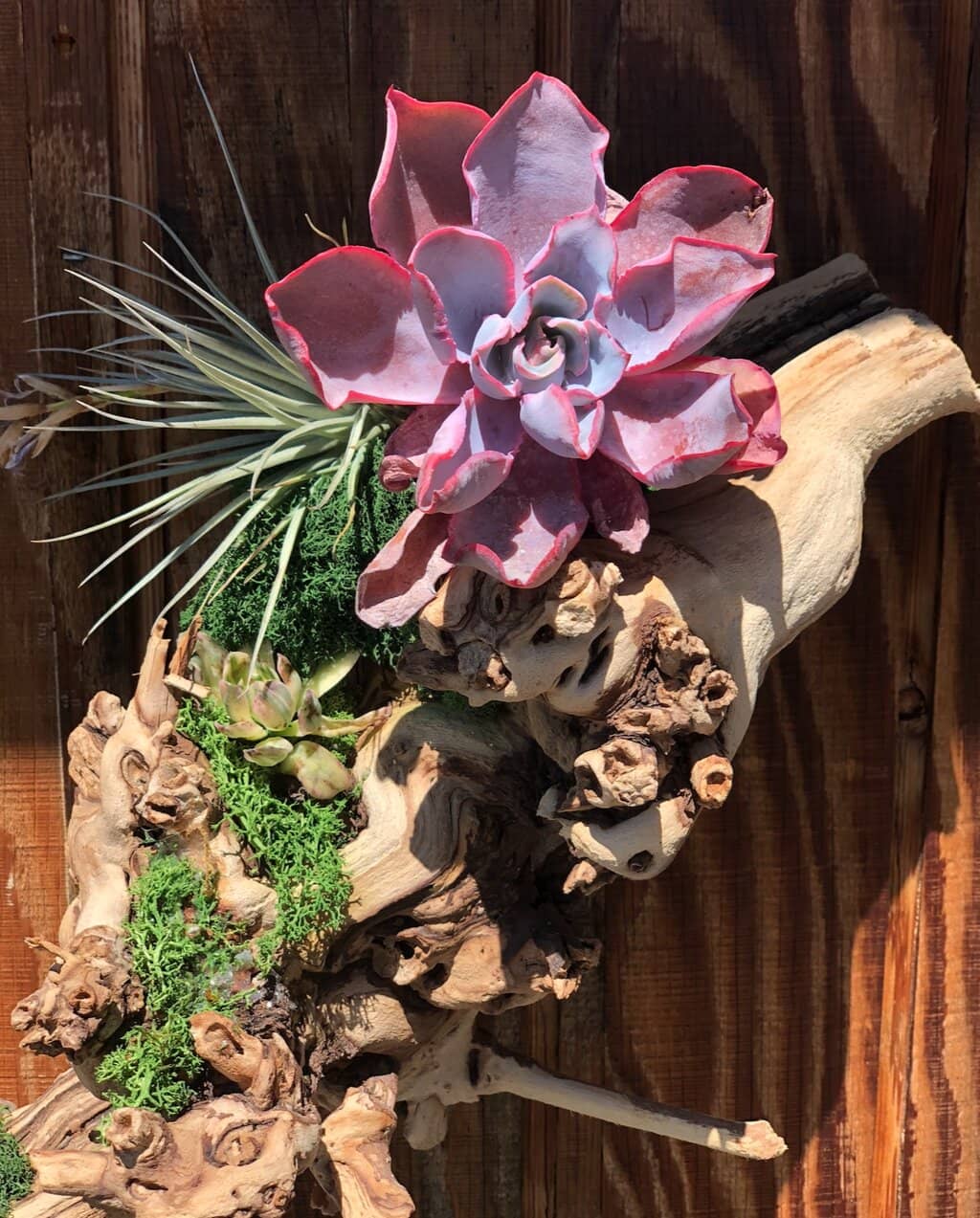 Unique Art Gallery Experience