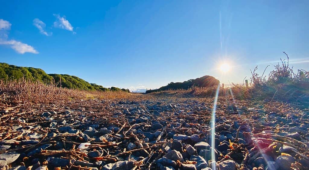 Wairau Lagoons Walkway