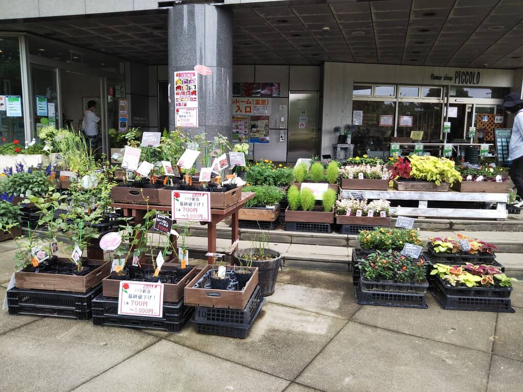 Rose Garden Spectacle