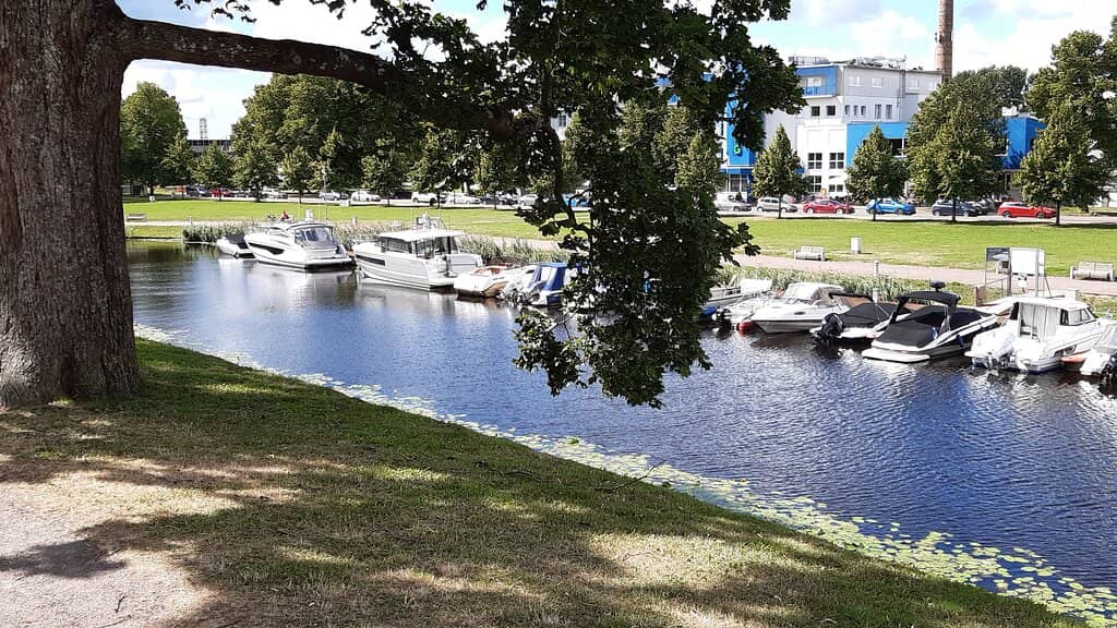 Skatepark & Playgrounds