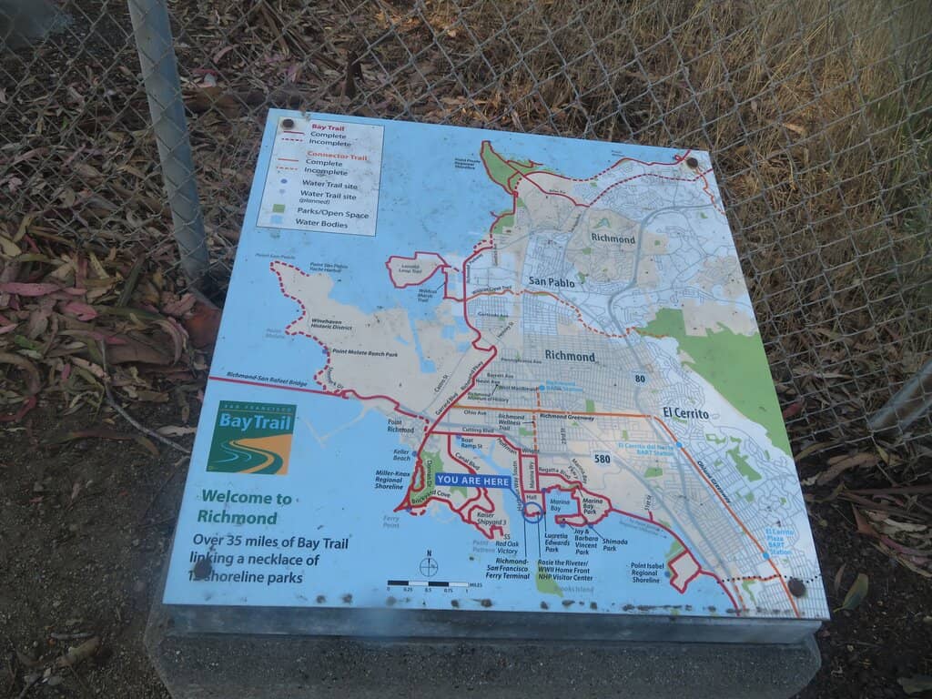 Kite and Windsurfer Spectacle