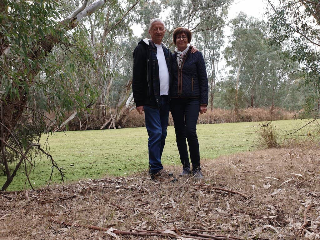 Ancient River Red Gums