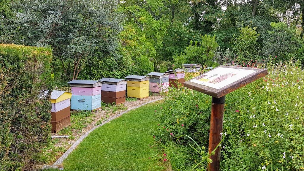 Green Spaces and Gardens