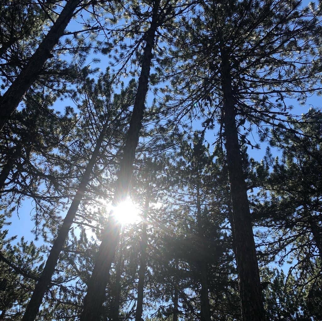 Adventure Park Thrills