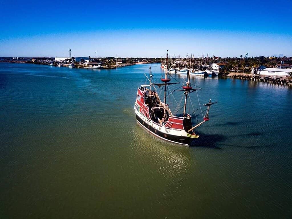 Dolphin Watching Opportunities