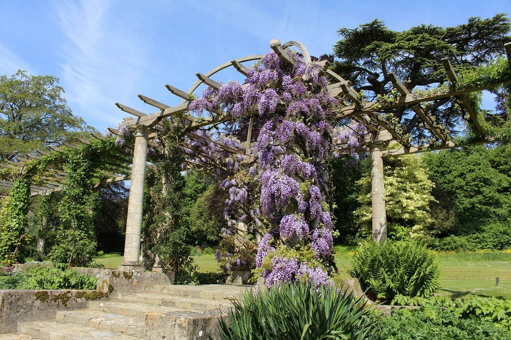 Edwardian Pergola