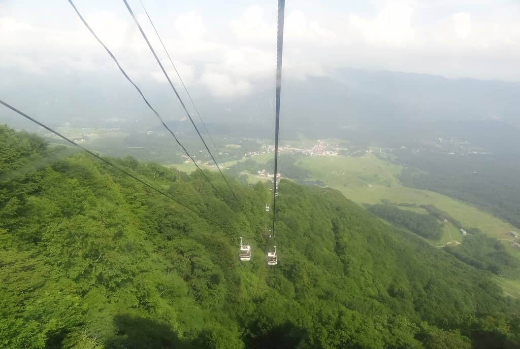 Kamaike Pond Reflection