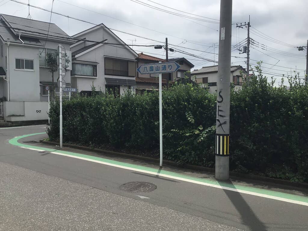 Forest Bathing Experience