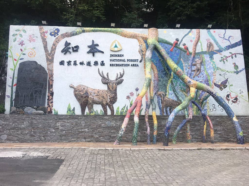 Creek Massage Footbath