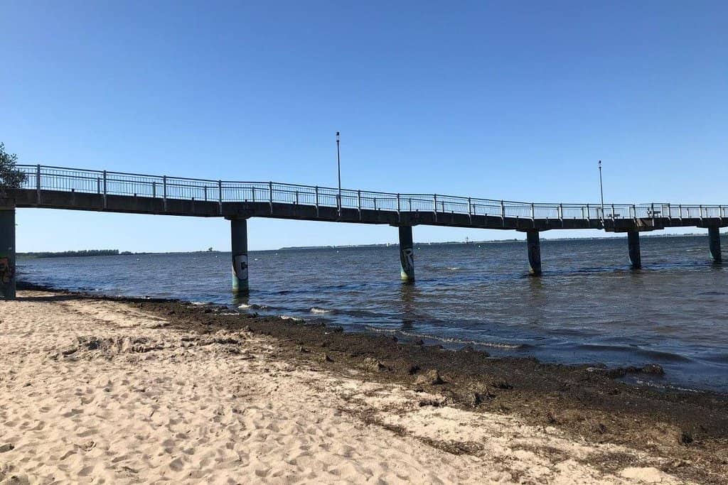 Family-Friendly Playground