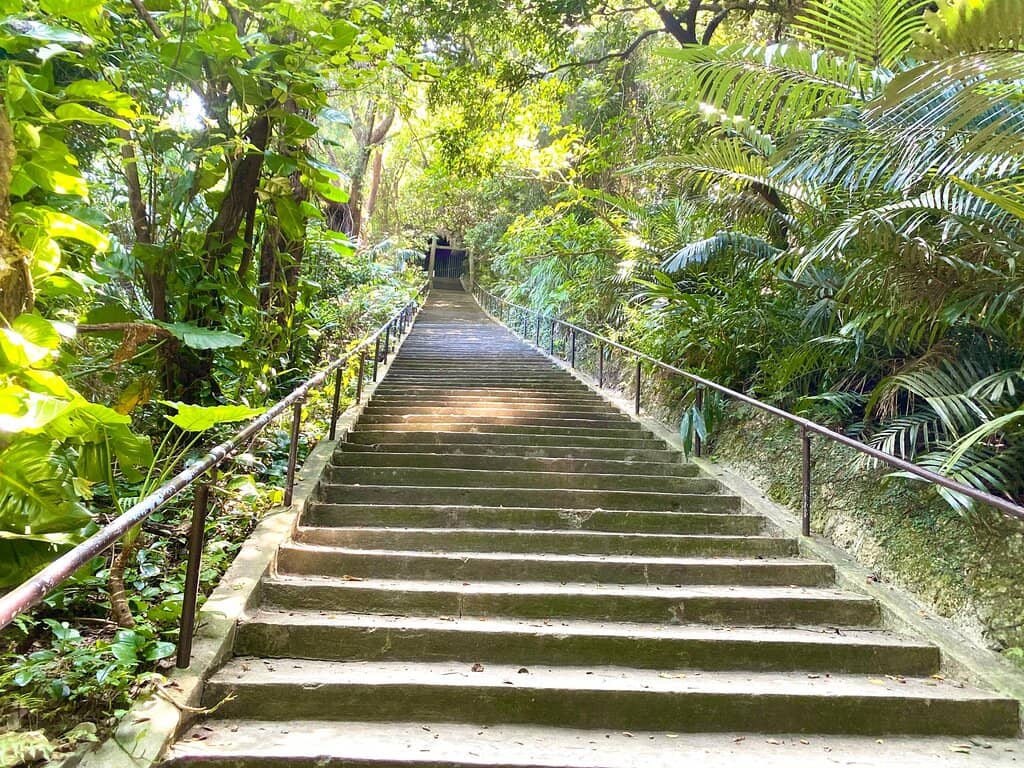 Marine Life Discovery