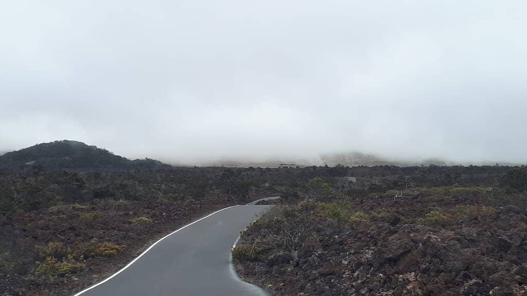Ohelo Berry Foraging