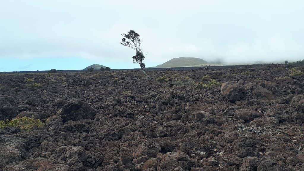 Mauna Loa Eruption Views