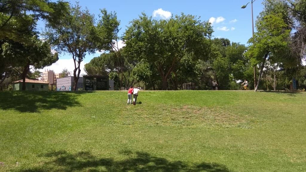 Roman Vegetable Gardens
