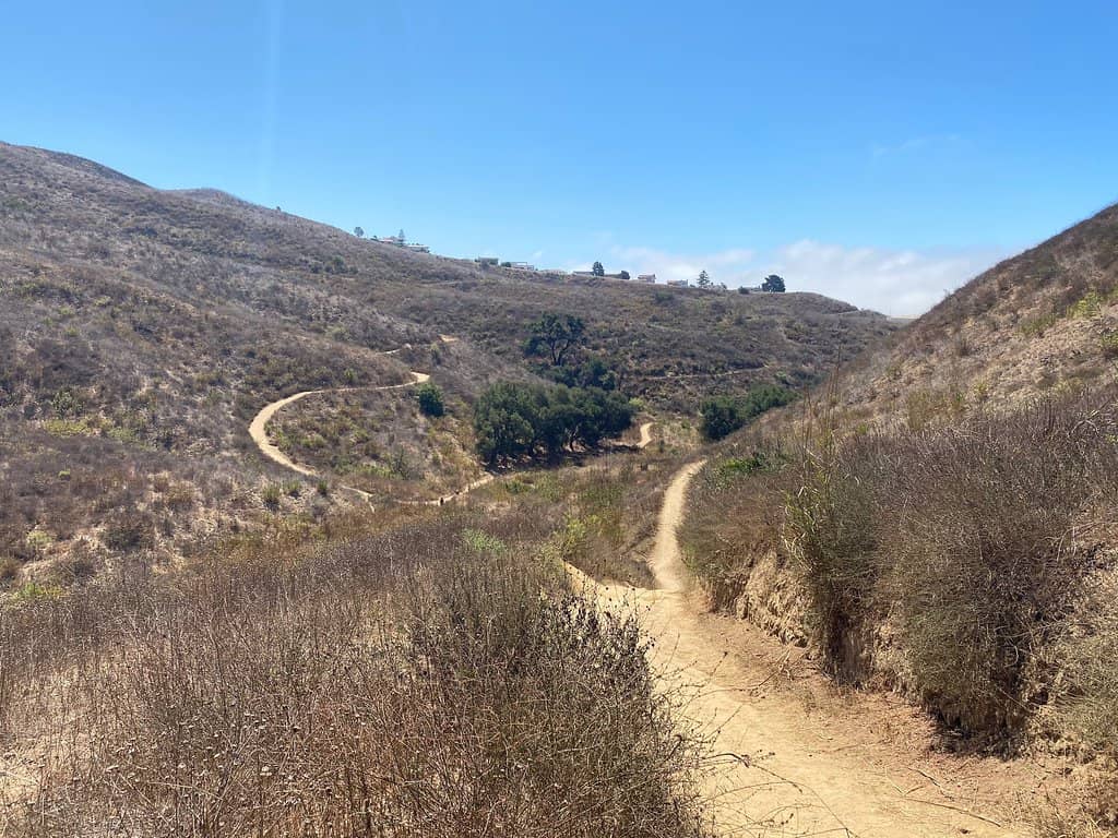 Panoramic Coastal Views