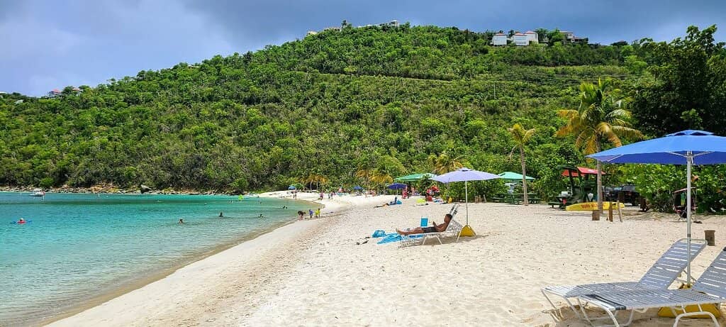 Abundant Marine Life