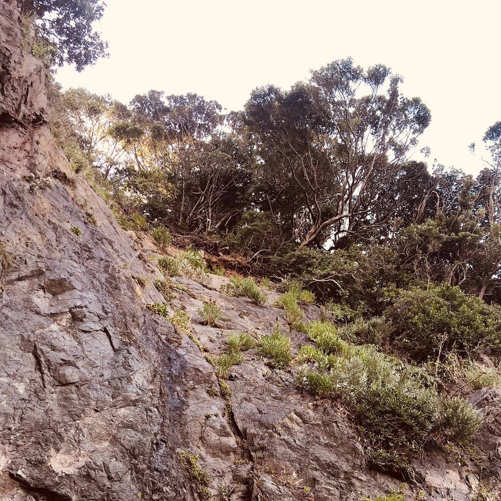 Nighttime Luminescence