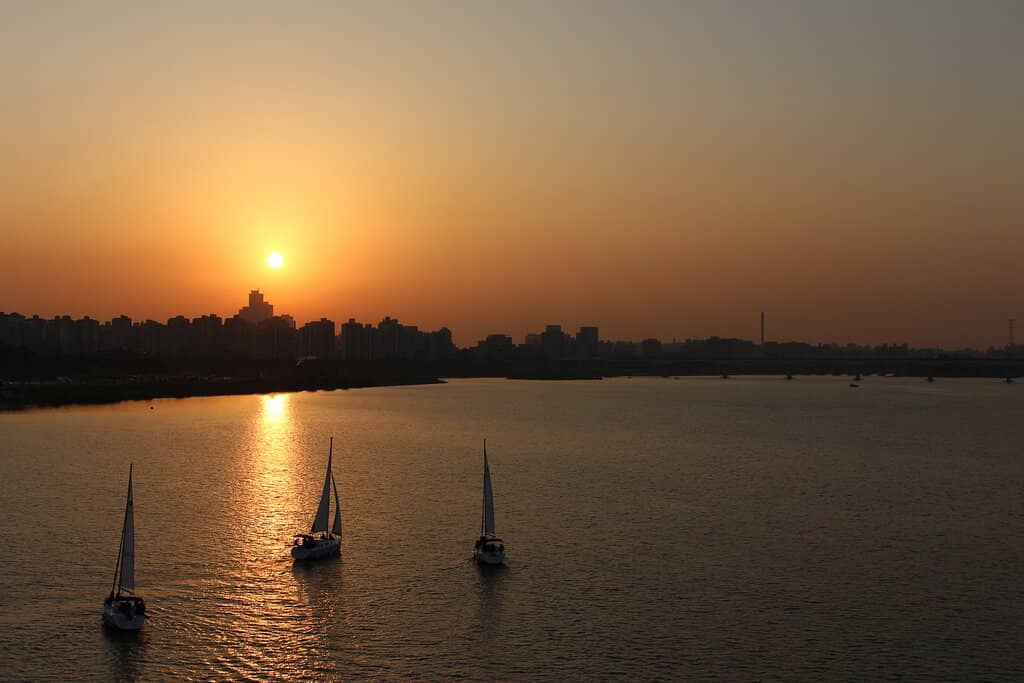 Cherry Blossom Festival