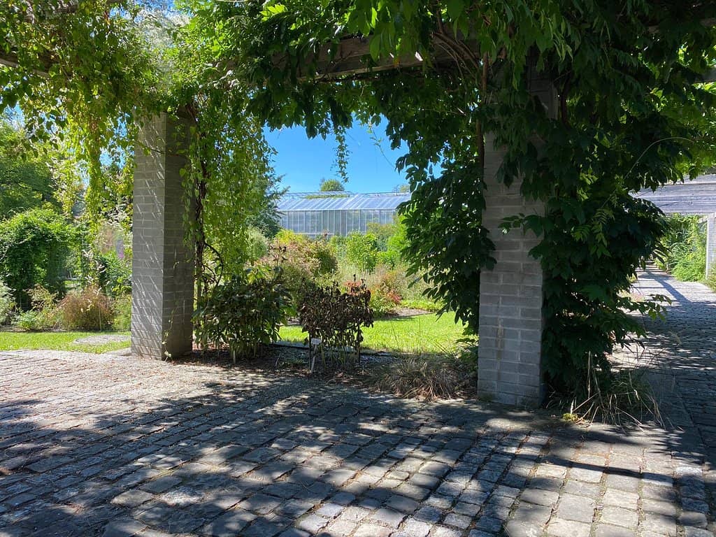 Abbey Library Vicinity