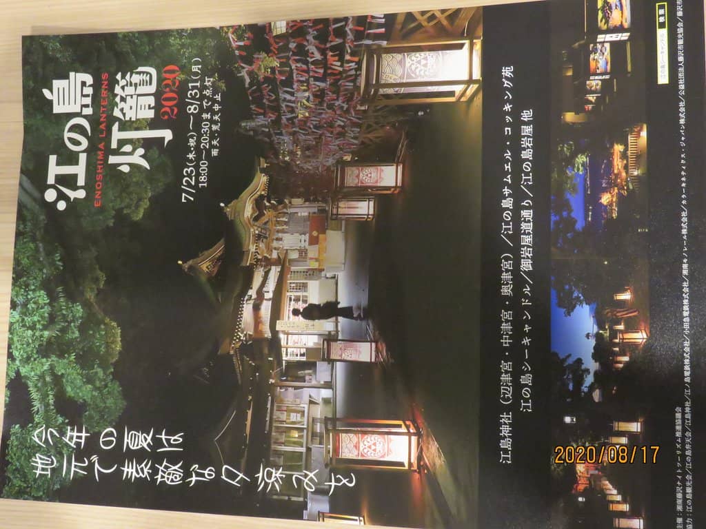 Jellyfish Tank Preview