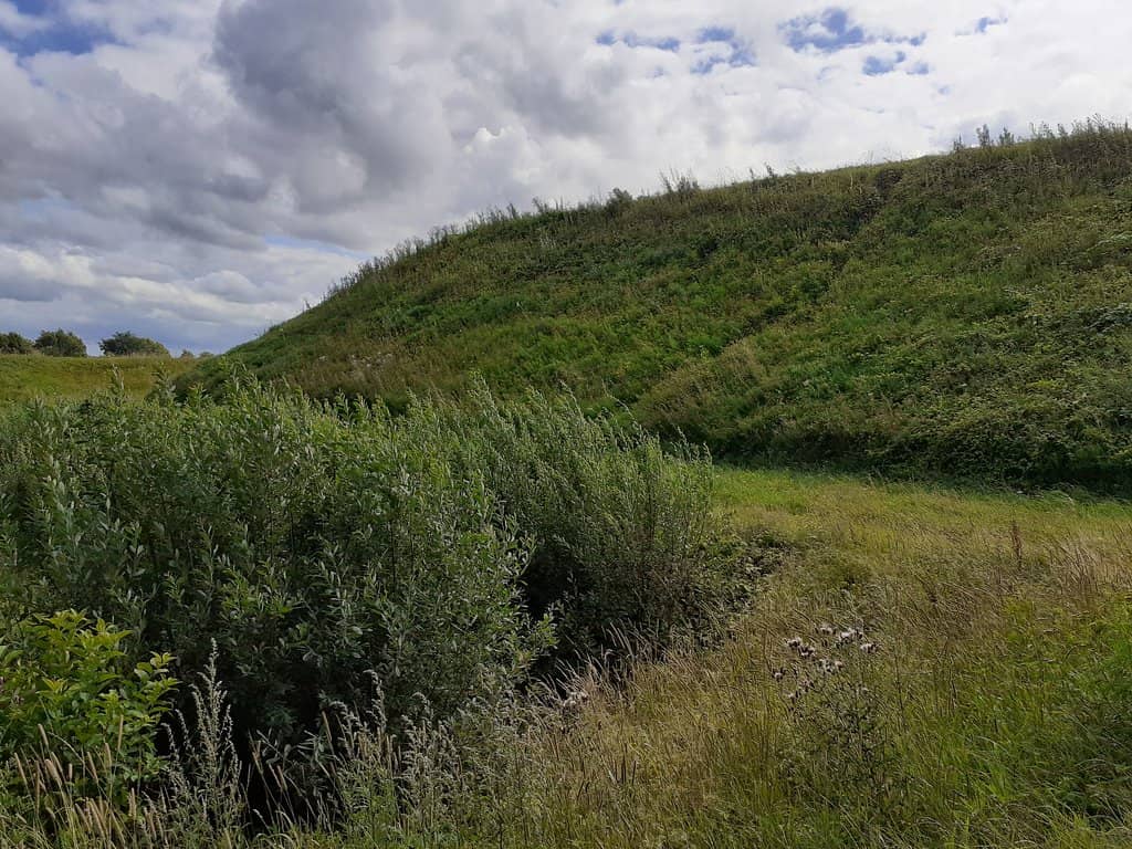 Temporary Museum Exhibits